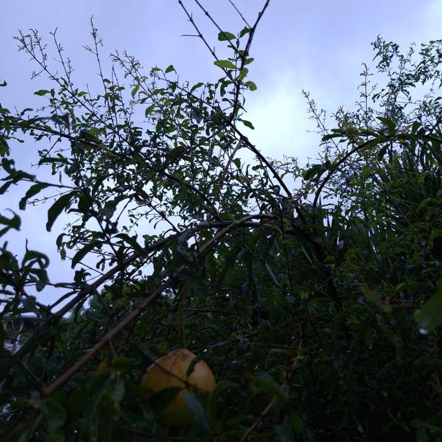 Fotos Jovem. Previsões do tempo com lindas fotos de Wen-ya Huang em Kaohsiung City