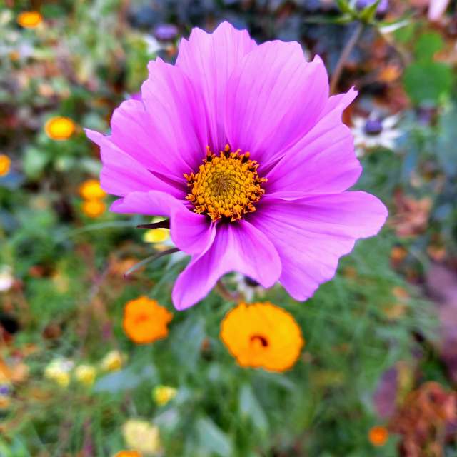 Colorful. Weather forecasts with beautiful photos by hejpetrpepa Photos in Plzeň Region