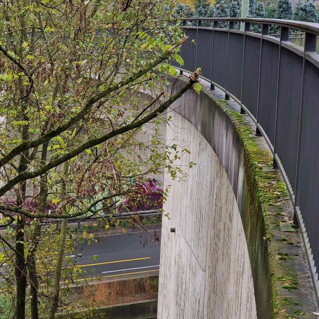 Wettervorhersagen mit schönen Fotos von wsantosphotos