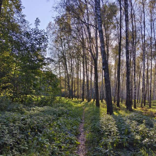 Group. Weather forecasts with beautiful photos by Aleksei Photos in Tula