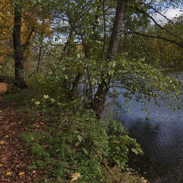 Fotos Vento. Previsões do tempo com lindas fotos de Vasek325 em Praha 4