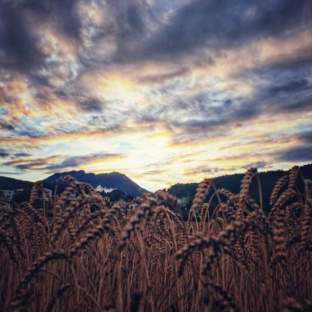 Weather. Weather forecasts with beautiful photos by Asarii Photos in Villach