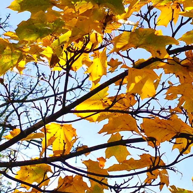 Fotos Torre. Previsões do tempo com lindas fotos de Seni em Velbert