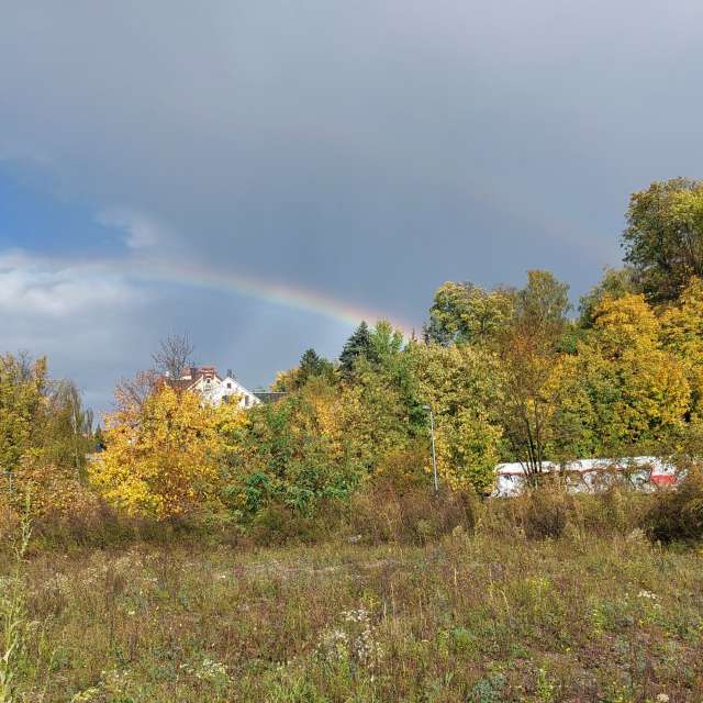 Previsões do tempo com lindas fotos de MaLou
