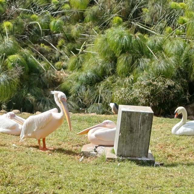Walking. Weather forecasts with beautiful photos by Zaza Photos in World