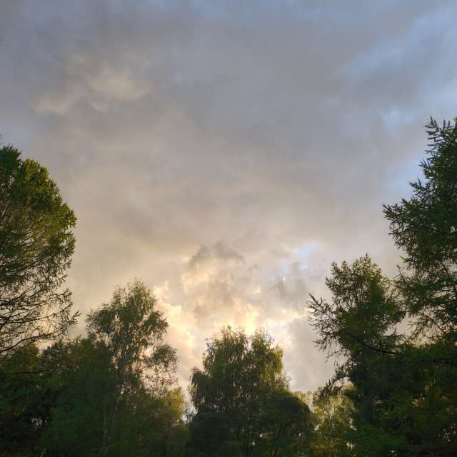 GREENE. Weather forecasts with beautiful photos by Amanda_and_Valdemar_Che Photos in Izmaylovo District