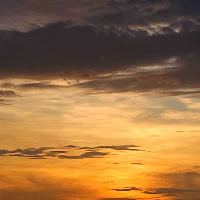 Flock. Weather forecasts with beautiful photos by Seni Photos in Velbert