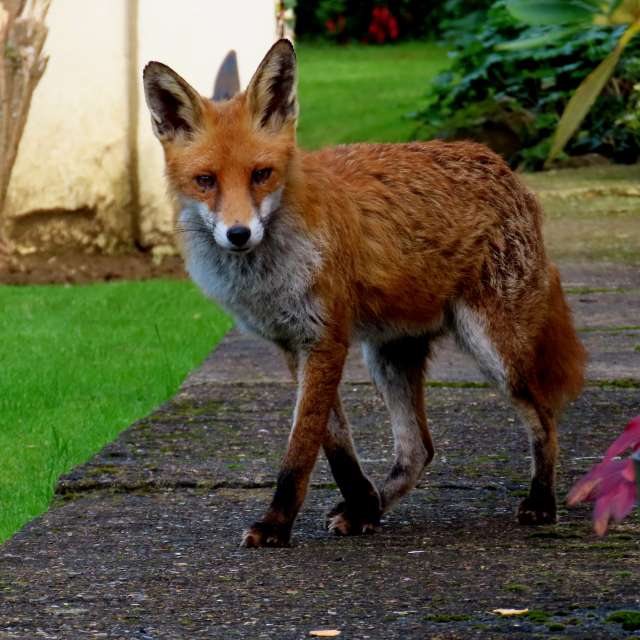 Photos Devant. Prévisions météo avec de superbes photos de Lolli de Maidstone