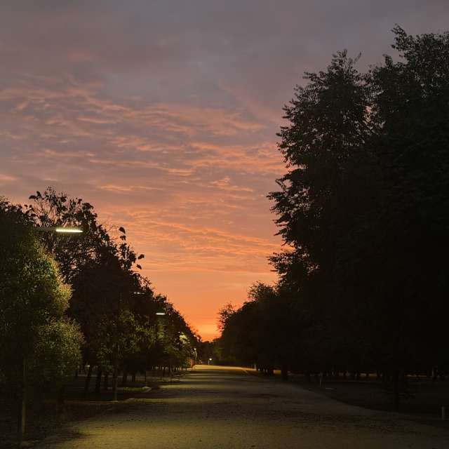 天气预报，带Knopfler83精美的照片