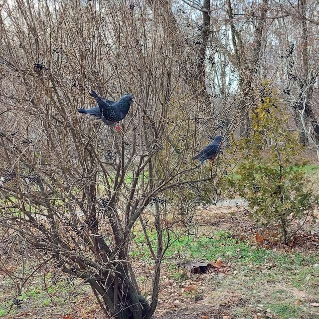 Open air. Weather forecasts with beautiful photos by Iryna Photos in Kharkiv