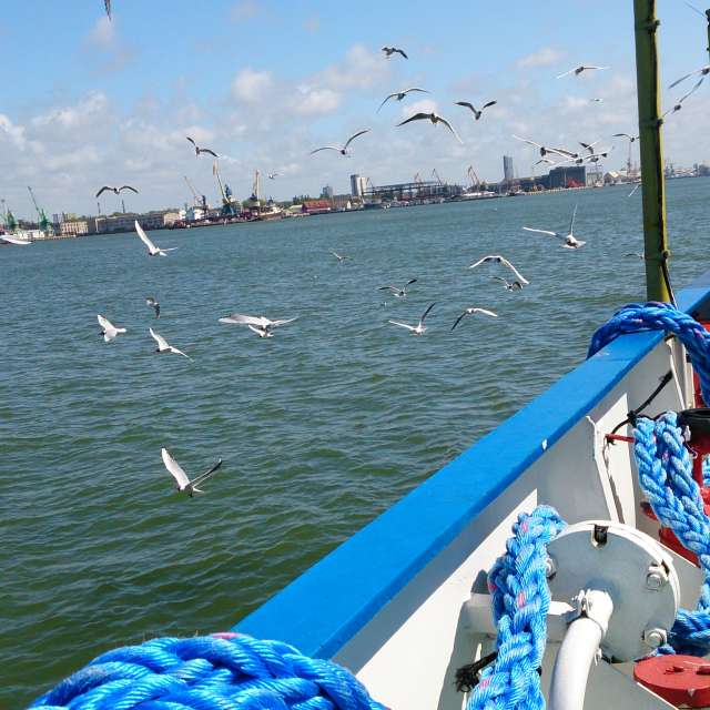 Jazzinevirgaの美しい写真による天気予報