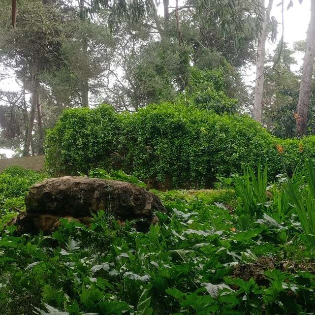Prévisions météo avec de superbes photos de Joaquim Fonseca