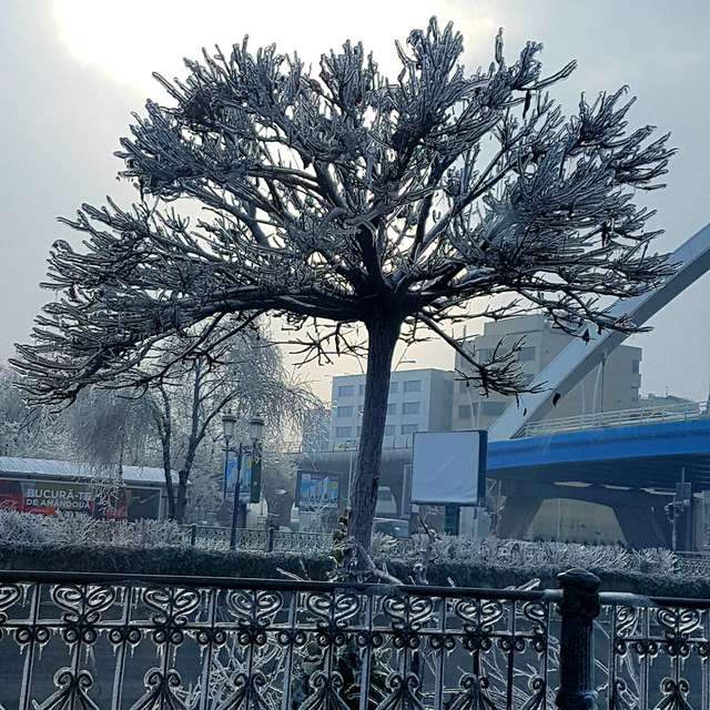 Fotos del Clima. Pronósticos del tiempo con hermosas fotos de Bogdan_Parlici en Bucharest