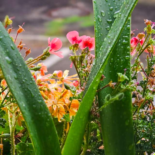 Photos Banc. Prévisions météo avec de superbes photos de Miloš_SK de Sereď
