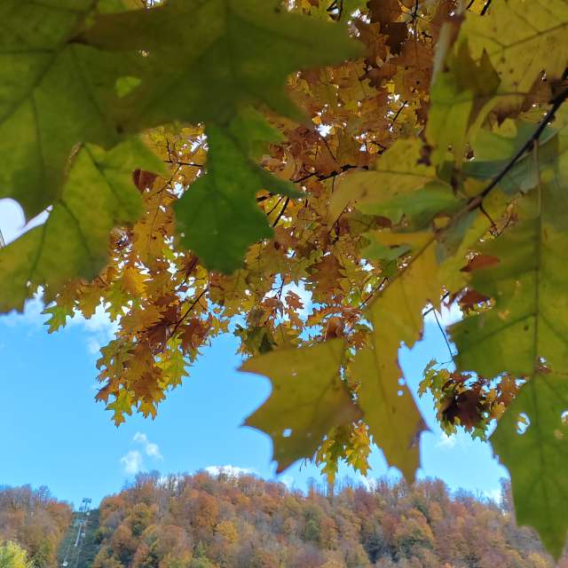Wettervorhersagen mit schönen Fotos von Albert_Smelovtsev