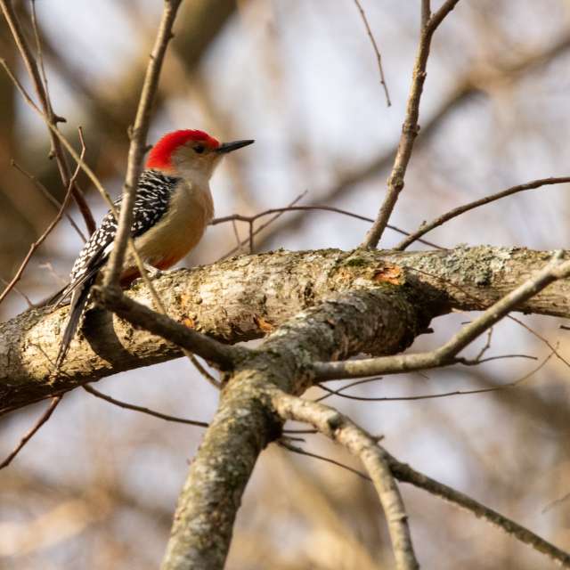 Прогнозы погоды с чудесными фотографиями, сделанными krantzjh