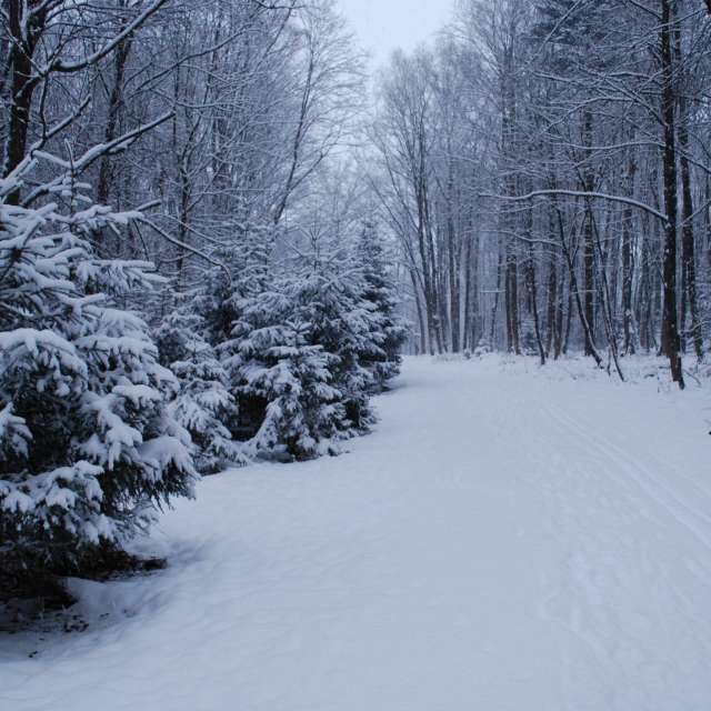 Weather forecasts with beautiful photos by Marcela Cervenakova
