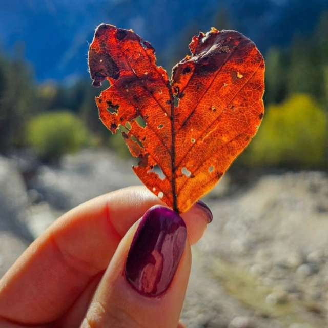 Weather forecasts with beautiful photos by Anamarija