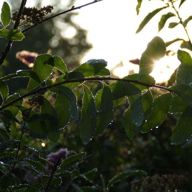 Fotos Clima. Previsões do tempo com lindas fotos de Vasek325 em Praha 12