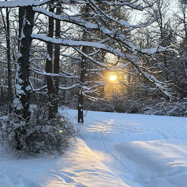 Прогнозы погоды с чудесными фотографиями, сделанными Jea