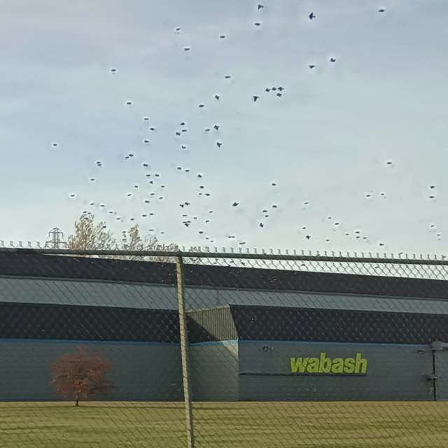 天气预报，带Zim Lotsa精美的照片