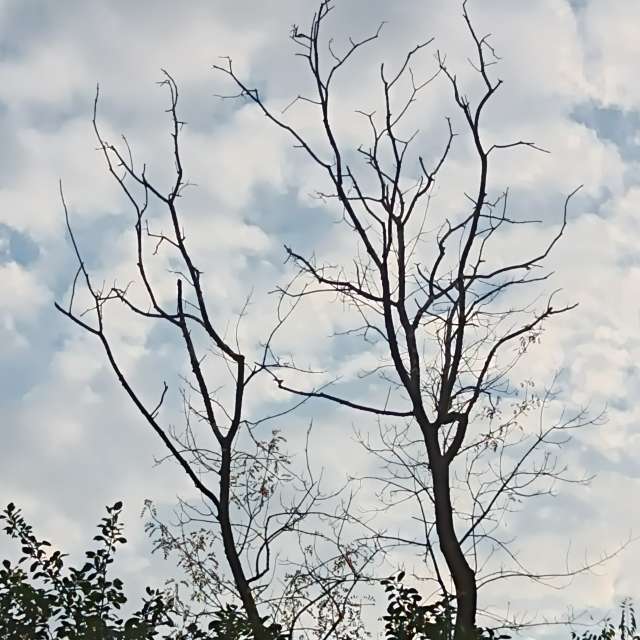 Fotos del Frente. Pronósticos del tiempo con hermosas fotos de YanBog en București