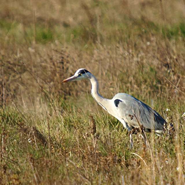 Weather forecasts with beautiful photos by tony5636