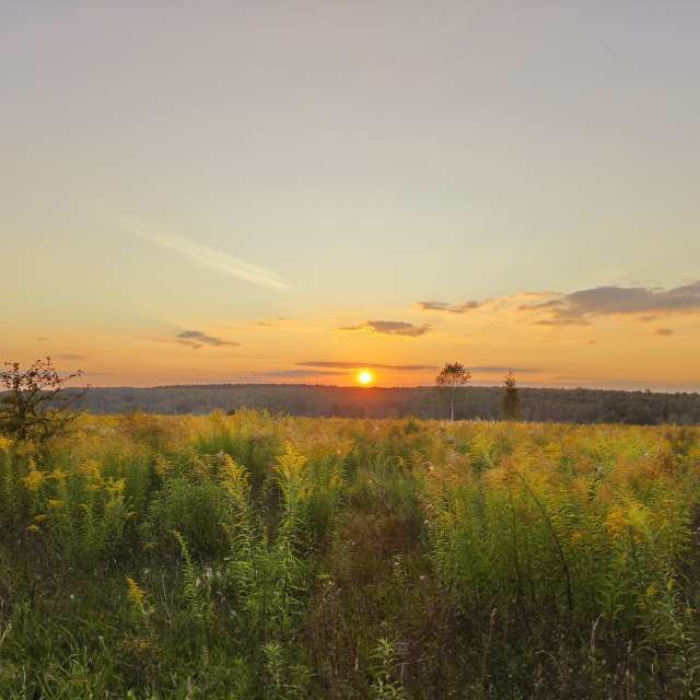 世界的天气照片. 天气预报，带Aleksei精美的照片