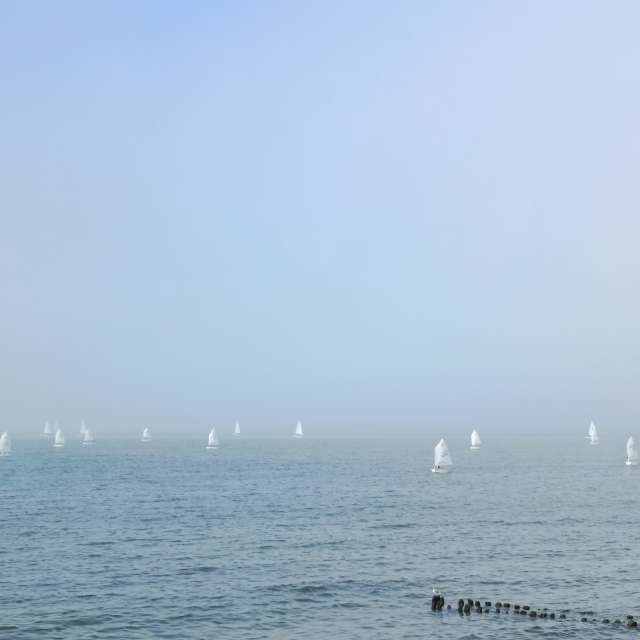 Fotos A lei. Previsões do tempo com lindas fotos de Михаил Бондаренко em Pionerskiy