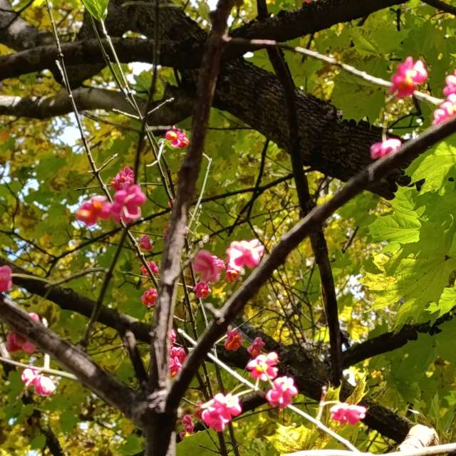 Прогнозы погоды с чудесными фотографиями, сделанными Lena_Glukhova