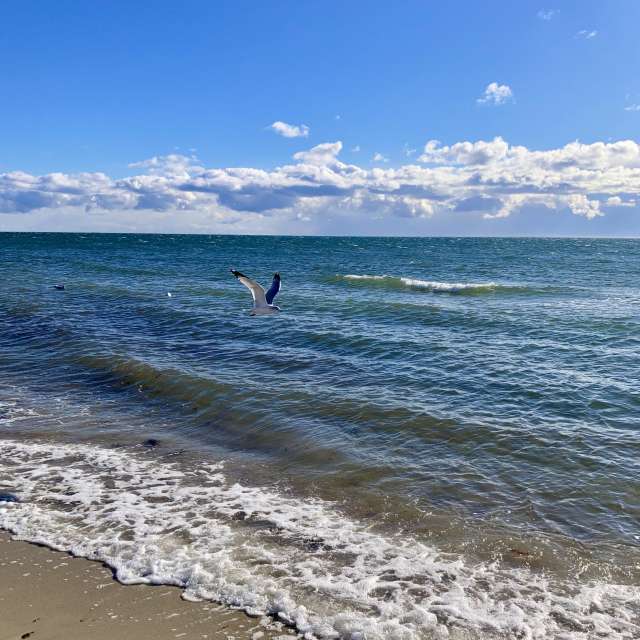 Pronósticos del tiempo con hermosas fotos de prairiesands