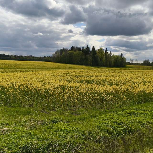 Hintergrund. Wettervorhersagen mit schönen Fotos von Valiukas Fotos Litauen