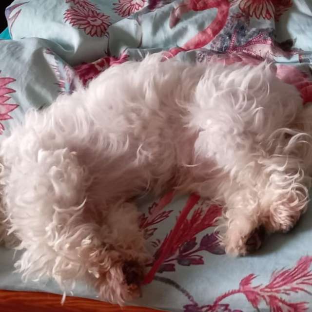 Прогнозы погоды с чудесными фотографиями, сделанными aida-khaldi