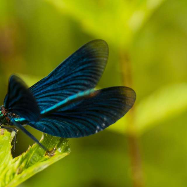 Прогнозы погоды с чудесными фотографиями, сделанными Nymph542