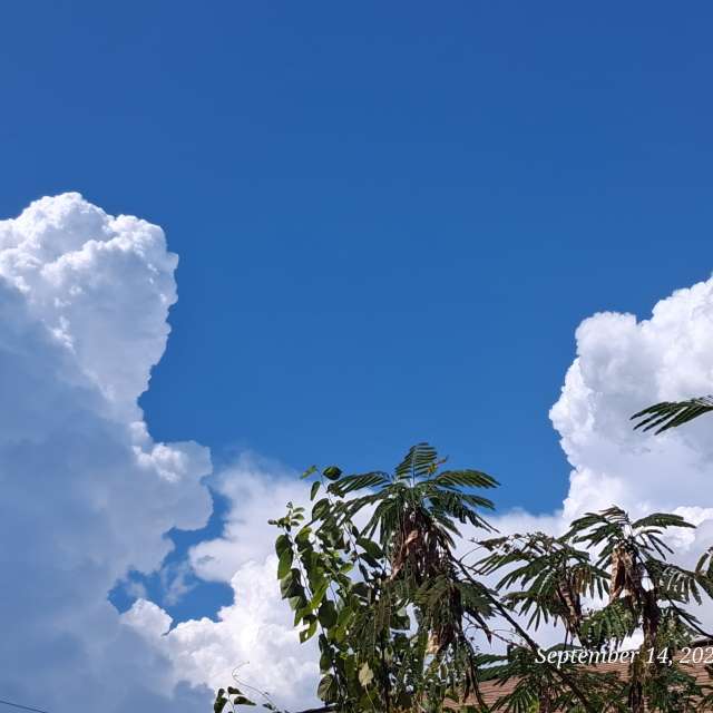 Wettervorhersagen mit schönen Fotos von DarkLord57