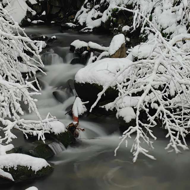 天气预报，带Rosiii精美的照片