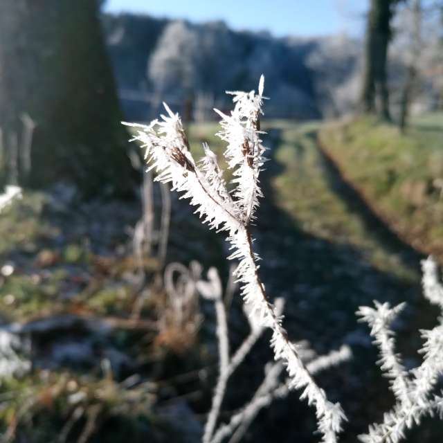 Прогнозы погоды с чудесными фотографиями, сделанными Fredy_Hiker