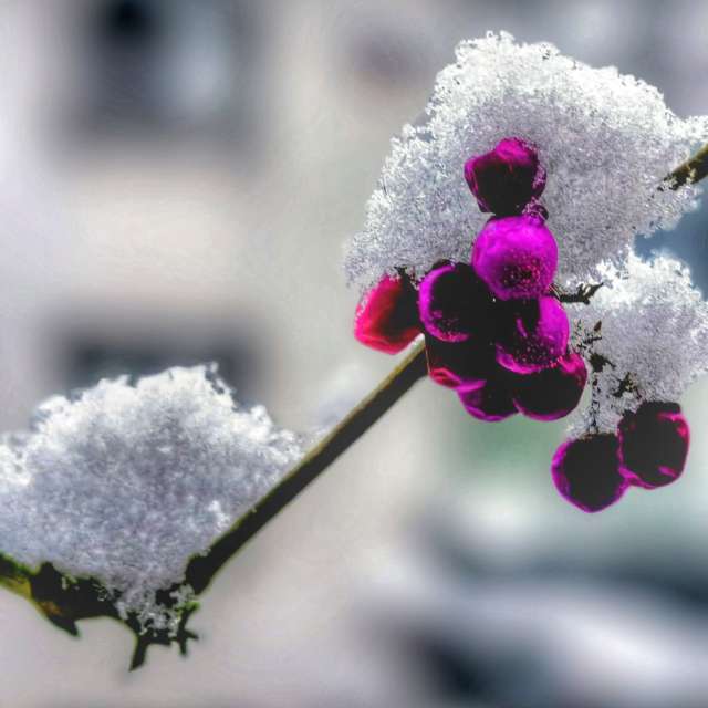 Weather forecasts with beautiful photos by Gweiland