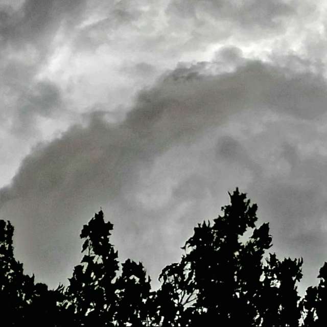 Weather forecasts with beautiful photos by Zim Lotsa