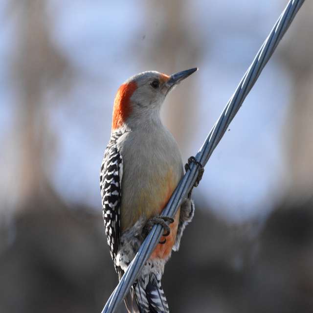 Фотографии Погоды в Мир. Прогнозы погоды с чудесными фотографиями, сделанными krantzjh