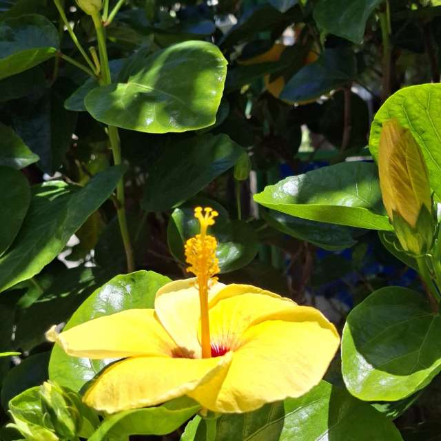 Fotos Comida. Previsões do tempo com lindas fotos de Wen-ya Huang em Kaohsiung City