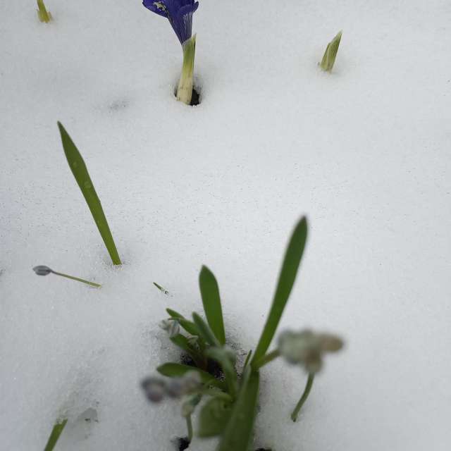 Little. Wettervorhersagen mit schönen Fotos von Evgeniya77 Fotos Kolomna