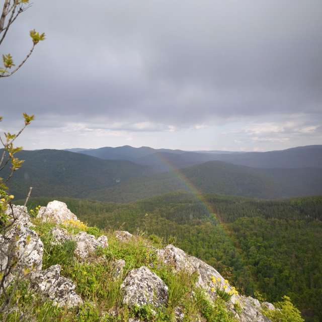 Wettervorhersagen mit schönen Fotos von lydito