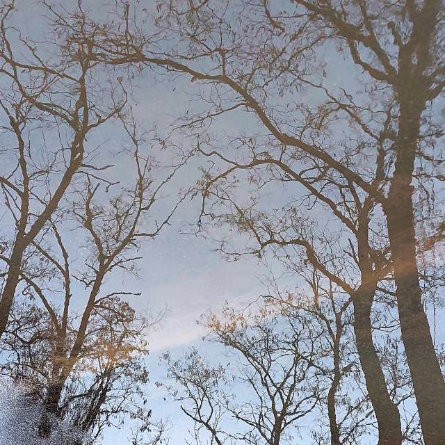 Tarmac. Weather forecasts with beautiful photos by Iryna Photos in Kharkiv