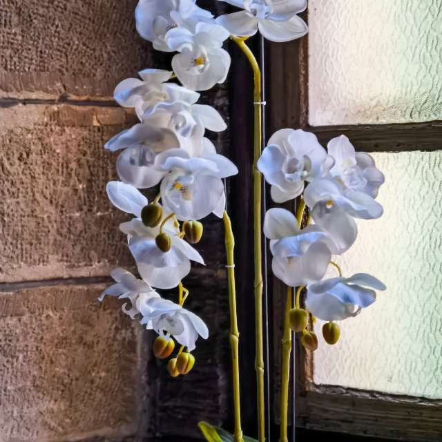 Wettervorhersagen mit schönen Fotos von Terraza74