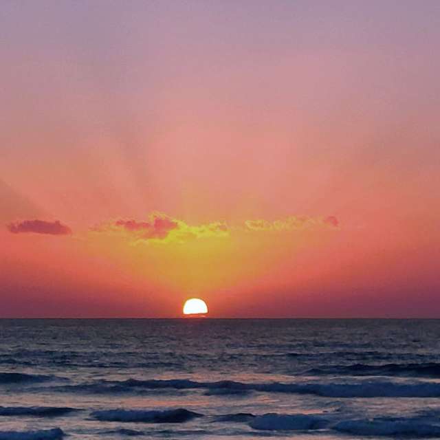 市场的天气照片. 天气预报，带newgen精美的照片