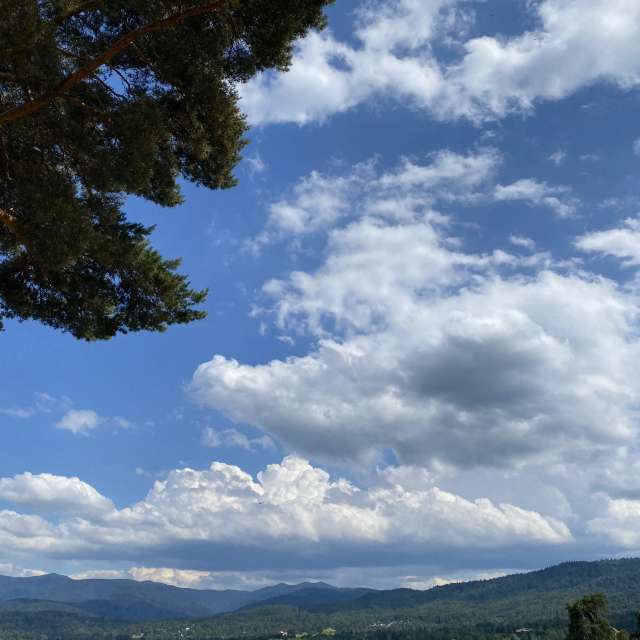 Photos Herbe. Prévisions météo avec de superbes photos de cigov de язовир Батак, местност Цигов Чарк