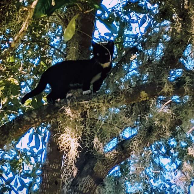 Weather forecasts with beautiful photos by Christinam01