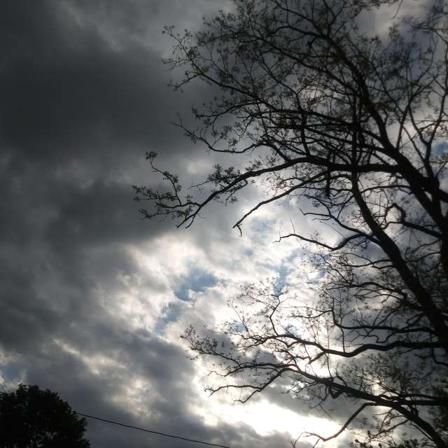 天气预报，带LehCar精美的照片