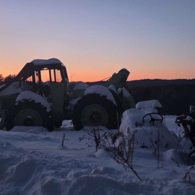 Pronósticos del tiempo con hermosas fotos de imamoonpuppy